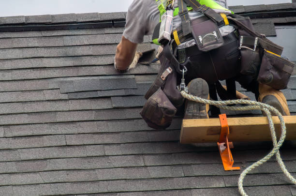 Best Storm Damage Roof Repair  in Gridley, IL