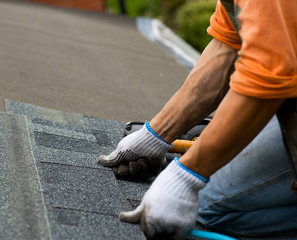 Best Gutter Installation and Roofing  in Gridley, IL